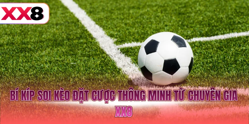 Bí kíp soi kèo đặt cược thông minh từ chuyên gia XX8