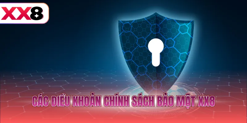 Các điều khoản chính sách bảo mật XX8