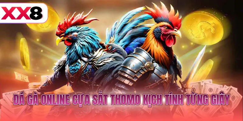 Đá gà online cựa sắt Thomo kịch tính từng giây