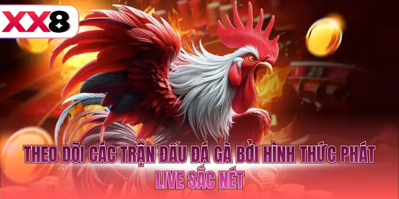 Theo dõi các trận đấu đá gà bởi hình thức phát live sắc nét